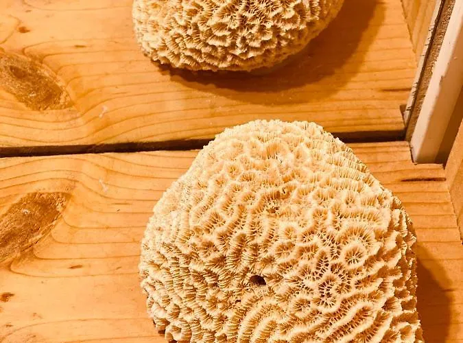 Hotel Le Caillebotis